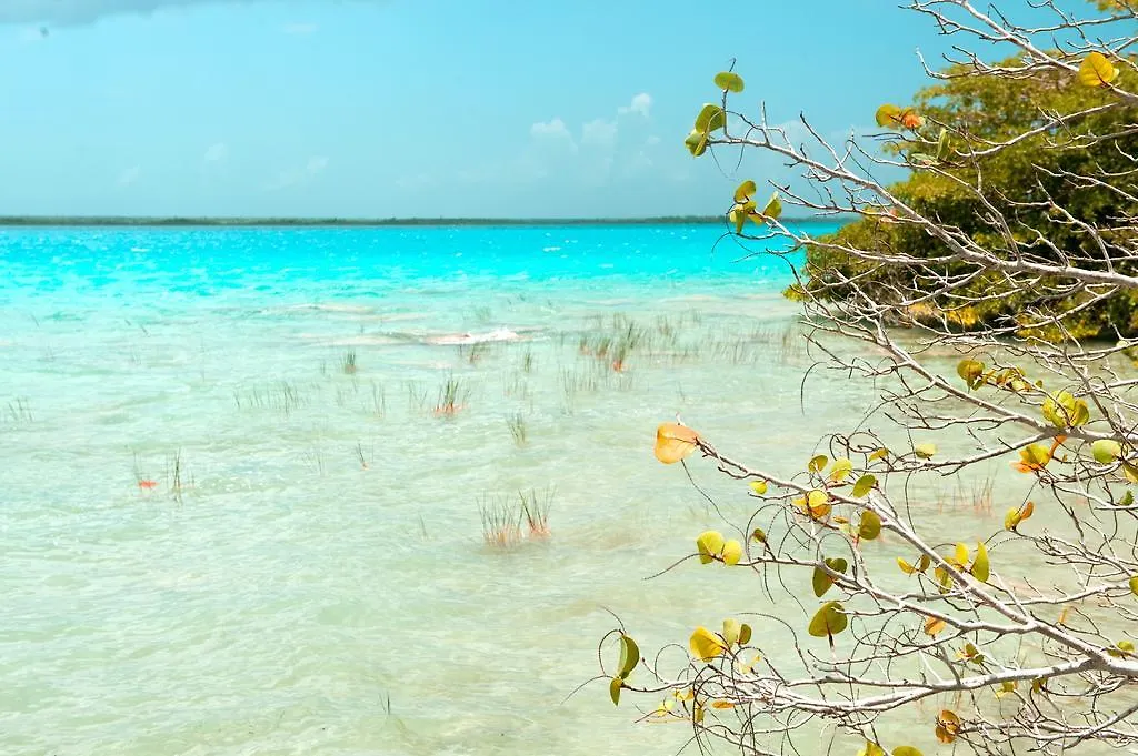 ****  Hotel Rancho Encantado Bacalar Mexico